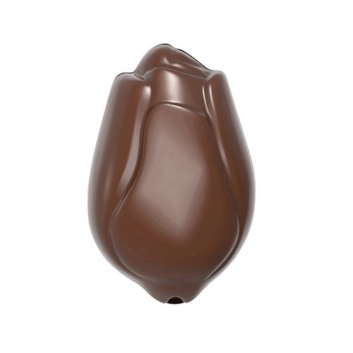 Chocoladevorm tulp