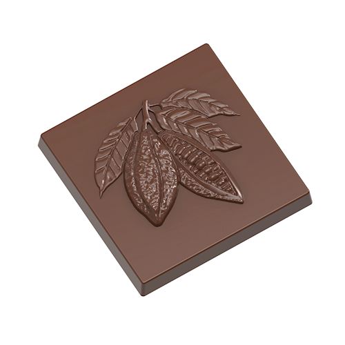 Chocoladevorm karak cacaoboon