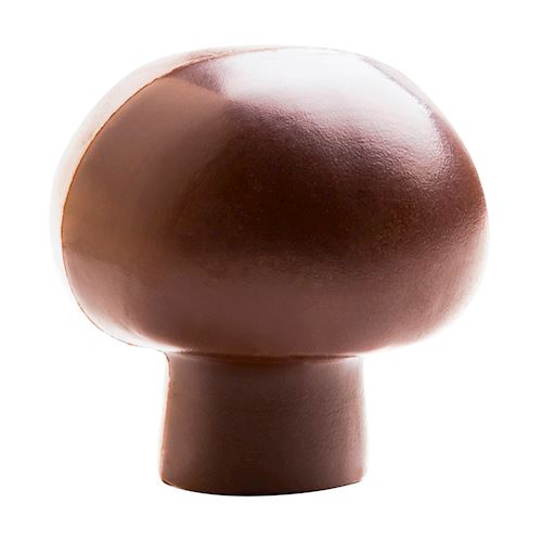 Chocoladevorm champignon