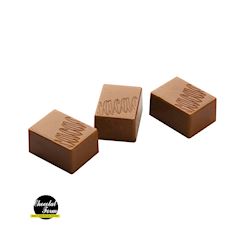 Chocoladevorm cacao logo