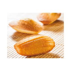 Flexipan 1511 madeleines