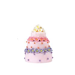 Mini wonder cakes 75 x 60 mm